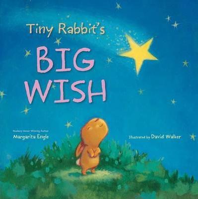 Tiny Rabbit's Big Wish (HB)