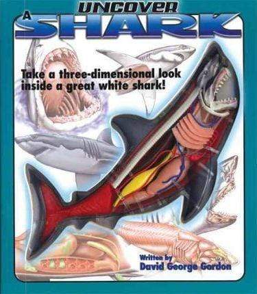 Uncover a Shark