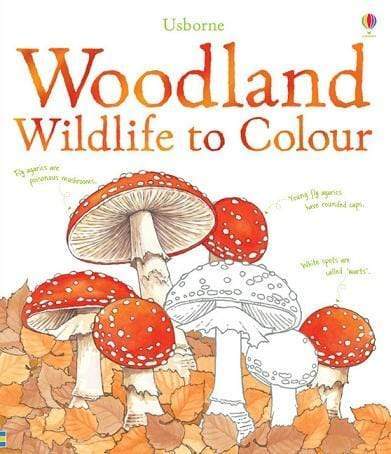 Usborne Woodland Wildlife To Colour