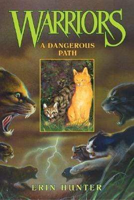 Warriors: A Dangerous Path