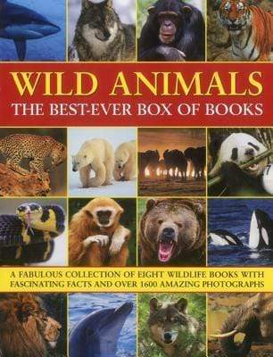 Wild Animals