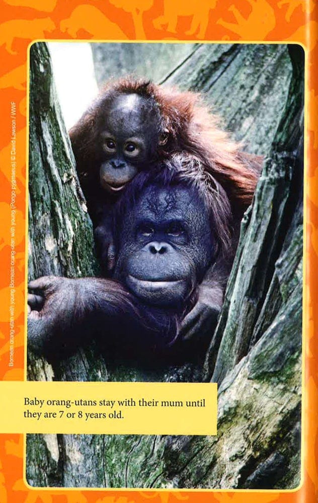 Wwf Wild Friends: Orang-Utan Adventure: Book 6